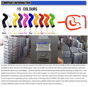 Mangueras de intercooler <span class=keywords><strong>2019</strong></span>, <span class=keywords><strong>300</strong></span>, - Product Image 6