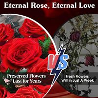 Handgefertigte, langlebige Blumen-Geschenkbox mit konservierten roten Rosen, Eternelle Bouquet für romantische Jahrestage und Geburtstage, hält 3-5 Jahre.