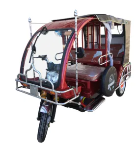 Easybike-Bicicleta eléctrica de 60V/1000W, 5 asientos para pasajero