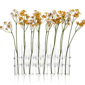 Transparent Glass Hydroponic <b>Vase</b> Set For Home Decor And Floral Arrangements With Water Culture Design - Product Image 5