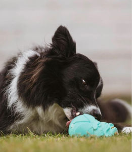 Bio basiertes Gummi und umwelt freundliches Haustiers pielzeug Großhandel Kau spielzeug für Haustiere - Product Image 6