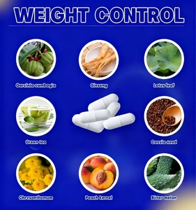 Cápsulas de adelgazamiento y quemador de grasa a base de hierbas: apoyan la energía, reducen la fatiga y ayudan a la desintoxicación digestiva OEM/ODM Suplemento dietético - Product Image 5