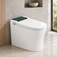 WC intelligent sans réservoir avec bidet intégré, siège chauffant électrique, chasse d'eau automatique, télécommande, en céramique
