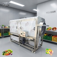 Laveuse rotative à tambour pour légumes-racines certifiée CE YouBan pour pommes de terre, carottes, manioc