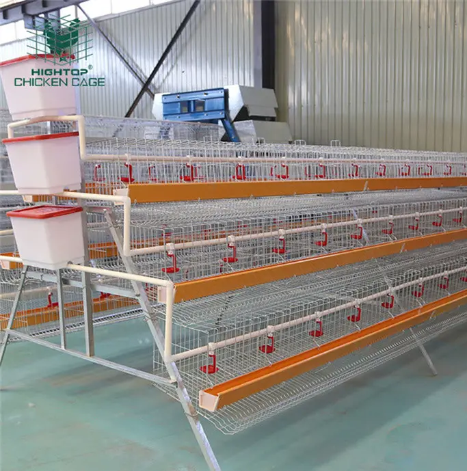 A Type 120 Capacity Egg Laying Equipment Battery Layer Chicken Cage In Nigeria For Poultry Farming