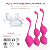 Boules vaginales en silicone sûres, 3 packs, boules de Benoit, appareil d'exercice de Kegel, boule d'exercice de Kegel organique, imperméable, certifié CE