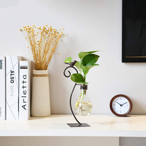 <span class=keywords><strong>Pot</strong></span> de fleur vase hydroponique <span class=keywords><strong>en</strong></span> <span class=keywords><strong>verre</strong></span> créatif avec support et support pour plantes à ampoule pour la maison hydroponique vert/plantes à fleurs - Product Image 3