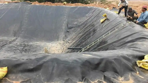 แผ่นยางปูบ่อ<span class=keywords><strong>ปลา</strong></span>แบบหนาพิเศษ 45mil EPDM ขนาด 10x10 เมตร แผ่นรองพื้นยาง EPDM สำหรับระบบเพาะเลี้ยงสัตว์น้ำ <span class=keywords><strong>บ่อ</strong></span><span class=keywords><strong>ปลา</strong></span> - Product Image 5