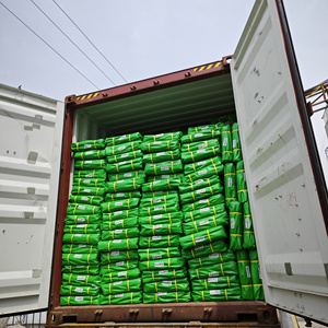 Taille Finie 10x12 Pieds Résistance au Soleil Imperméable Toile Enduite de PE Haute Résistance - Product Image 2