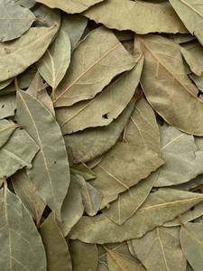 Venta de fábrica Preguntas frecuentes Calidad Hoja de Laurel Hierba culinaria natural seca entera Especias individuales AD Raw Bale Packaging Assurance - Product Image 2