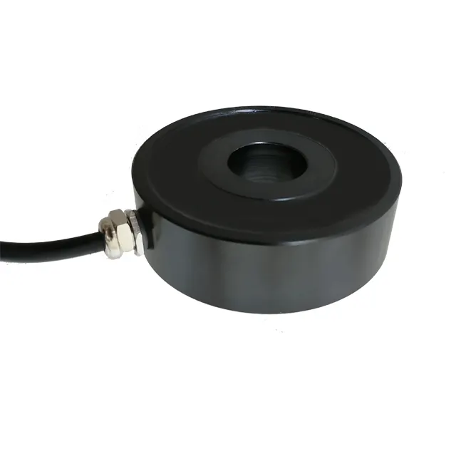 12V Dc Vasthouden Hefmagneet Zuigschijf Solenoïde 180Kg 220Kg Magnetische Lifter