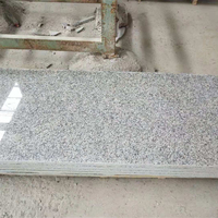 Pierre naturelle gris grand panneau granit poli comptoir G602 plaque de granit pour le marché du mexique