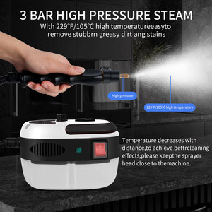 Nettoyeur à vapeur électrique haute température pour la cuisine de voiture à domicile 110V US Plug 220V EU Plug New Condition Air Hood Sterilization - Product Image 5