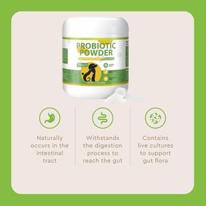 תוסף תזונה וויטמינים לכלבים, פרוביוטיקה לכל הגזעים, תומך בבריאות מערכת העיכול ובתפקוד המעיים, MOQ נמוך. - Product Image 2