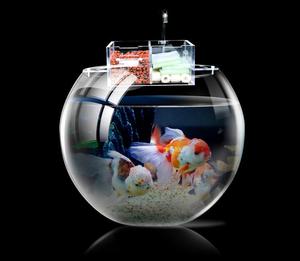 Aquettes en verre transparent pour aquarium, bols de bonne qualité, boule pour poissons, aquarium, nouveauté 2021 vente en gros - Product Image 4