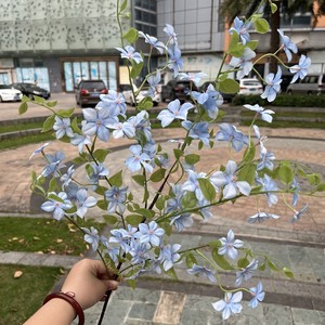 Nuovi <span class=keywords><strong>Fiori</strong></span> Artificiali Qilixiang in Seta <span class=keywords><strong>Viola</strong></span> e Blu, Lunga Durata 3-5 Anni, Decorazione per <span class=keywords><strong>Giardino</strong></span>, Matrimoni e Eventi, Vendita all'Ingrosso - Product Image 2