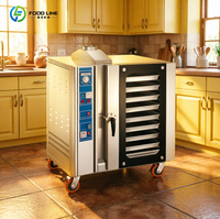 Four à air chaud professionnel pour boulangerie, en acier inoxydable, four à gaz commercial, four à convection au gaz