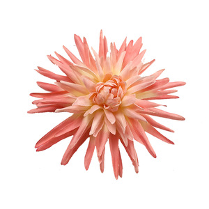 Flor de Crisantemo Artificial de 14 cm de Diámetro para Accesorios de Fotografía de Bodas y Decoración del Hogar - Product Image 5