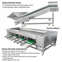 RVS fruit- en groentesorteermachine, multifunctionele sorteer- en verdeelmachine voor knoflook, aardappel, tomaat, mango