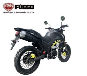 FUEGO TEKKEN II <span class=keywords><strong>250</strong></span> Moto tout-terrain à disque 250cc Moto sportive Moto chinoise - Product Image 5