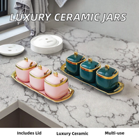 Ensemble de pots à épices en céramique classiques de luxe avec couvercle à rabat, grande capacité, design durable, cuillère incluse - Écologique et portable