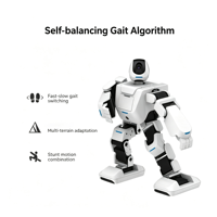 Robot humanoïde personnalisable, compagnon intelligent avec moteur et reconnaissance visuelle, interaction précise YY-CAHR-AELOS-EM