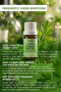 Huile Essentielle de Persil Turc 100% Pure (Petroselinum Crispum) Distillée à la Vapeur – Vente en Gros, Marque Privée, OEM pour la Parfumerie - Product Image 6