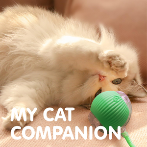 USB Charging Automatic Power Rolling Ball Indoor <b>Cat</b> Smart <b>Toy</b> with Moving Silicone and Plastic Features - Product Image 6