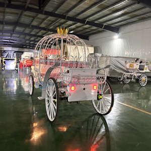 Usine de chariots de <span class=keywords><strong>mariage</strong></span> : Chariot de Cendrillon électrique en forme de citrouille à vendre - Product Image 5