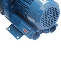 Pompe à air pour bain moussant 700W