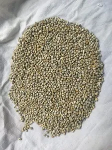 Millet vert de qualité supérieure Agistin, qualité premium, alimentation humaine, grain entier, naturel, sec - Product Image 1
