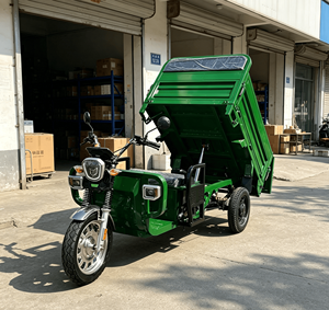 Triciclo Eléctrico de 3 Ruedas con Carrocería Abierta, Homologado por la CEE COC, 2000W 3000W, para Carga y Pasajeros, Triciclo Motorizado - Product Image 6