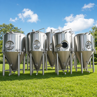 Cuve de fermentation conique en acier inoxydable SUS304 Tonsen 5000L-20000L pour grande brasserie artisanale
