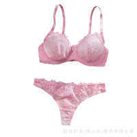 Set Lingerie Wanita Berkualitas Tinggi untuk Musim Panas, Seksi, dengan Kawat Penyangga dan Push-Up, Motif Bunga Pink, Bordir Renda, Bra dan Celana Dalam G-String, Bahan Bernapas