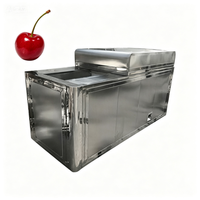 Automatische Fruitpitter Zaadverwijderingsmachine 380V Motor 304 Roestvrij Staal Hoge Efficiëntie 2.2KW Vermogen