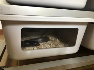 Durable &amp; Secure Snake Breeding Rack: Optimized Tub Enclosure for Ball <strong>Pythons</strong>, Lizards with Enhanced Ventilation and Safety - Product Image 3