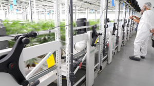 Agricultural <strong>Greenhouses</strong> Mobile <strong>Shelving</strong> Systems Hydroponic Shelves &amp; Rack - Product Image 4