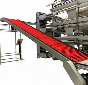 Jaula para Pollos de Acero Galvanizado en Caliente de Diseño Moderno JiHua con Recolección Automática de Huevos - Product Image 1