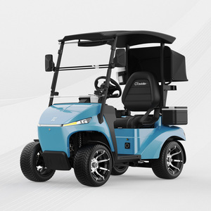 Carrito de Golf Comunitario Multi-interfaz de Alta Calidad, Profesional, Monoplaza, con Sistema Multimedia y Cesta - Product Image 1