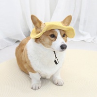 Chapeau de soleil en velours côtelé pour chien, casquette réglable, logo personnalisé, accessoires pour animaux de compagnie, vente en gros, durable et doux