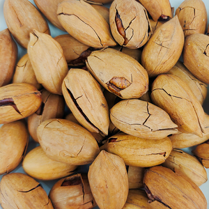 Chất lượng cao rang hạt hồ đào trong vỏ lành sữa caramel vani hương vị muối ăn nhẹ ngon trực tiếp từ nhà máy - Product Image 6