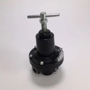 Buen Precio 20AG-X4G-PH100 20AG-X6G-PD100 Regulador de Alto Flujo Serie 20AG, G1/2, 0.2-8 Bar, Sin Manómetro - Product Image 5