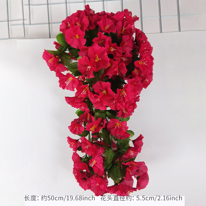 Rose red