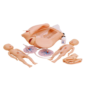 Thiết bị giảng dạy y tế điều dưỡng manikin điện tử di động tim phổi auscultation đào tạo y tế giả lập - Product Image 2