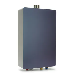 8L10L 12L 16L 18L Natural Gas Boiler Shower Instant Gaz Propane Tankless Lpg Geyser Gas Water Heaters
