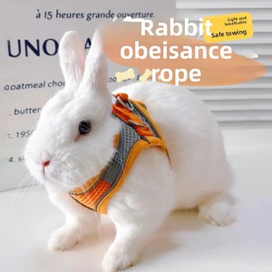 Pettorina Regolabile e Traspirante <span class=keywords><strong>per</strong></span> Gatti con Guinzaglio, <span class=keywords><strong>per</strong></span> Cani di Piccola Taglia e <span class=keywords><strong>Conigli</strong></span>, Design Anti-Rottura - Product Image 2