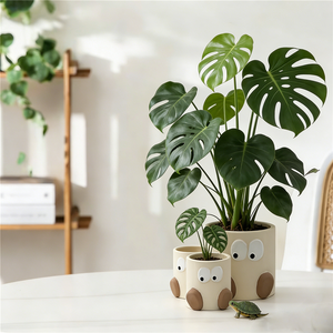 Macetas para Suculentas, Macetas Decorativas para Interiores, Soporte de Exhibición para Macetas, Decoración para el Hogar - Product Image 2