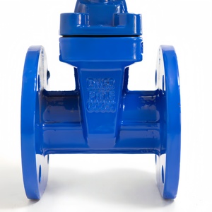 Задвижка фланцевая DN50 PN16 с невыдвижным шпинделем, с мягким уплотнением, из ковкого чугуна - Product Image 3