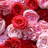 Mur de fleurs artificielles sur mesure, résistant à la décoloration, 3D, fond de mur en rose rouge, tissu de soie, enroulable