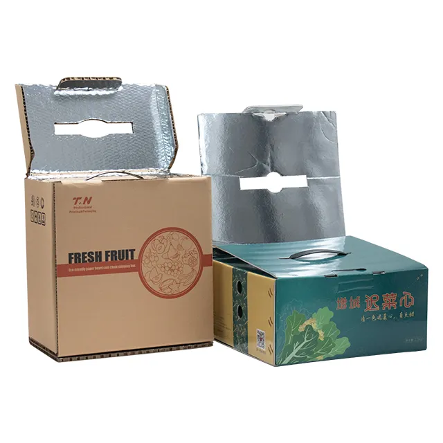 Biodegradable Pizza Fruit Beer Cans Frozen Food Cold Chain Transportation Box Insulated Cooler Food Packaging Custom Rigid Boxes